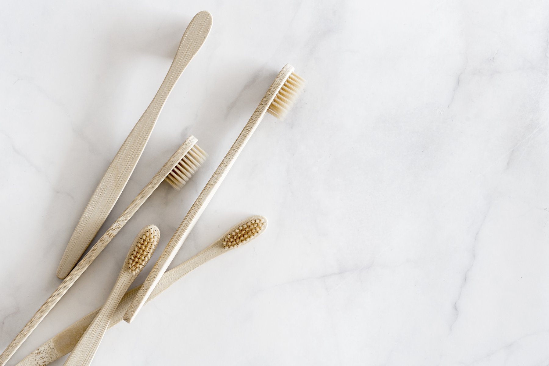 Toothbrushes ready for a teeth cleaning
